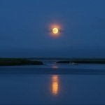 Download Sci Fi Moon PFP