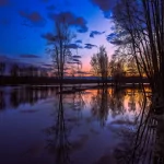nature reflection PFP