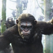 Dawn of the Planet of the Apes Pfp