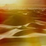 Download Nature Desert PFP