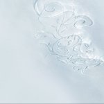 Download Snowboarding Sports PFP