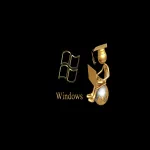 technology Windows PFP