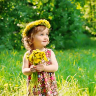 wreath flower dandelion summer little girl child photography PFP
