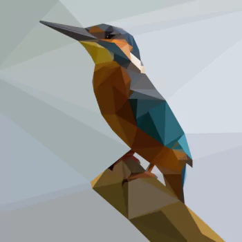  Kingfisher Low Poly