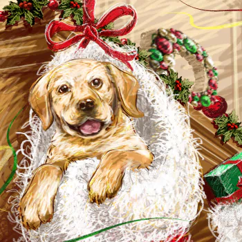 drawing gift Christmas christmas ornaments dog holiday PFP