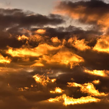 nature cloud PFP