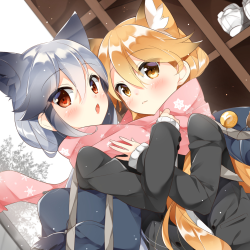 Download Ezo Red Fox (Kemono Friends) Silver Fox (Kemono Friends) Anime Kemono Friends PFP