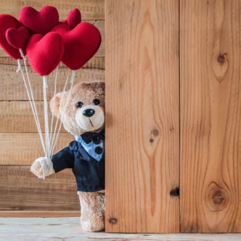 heart teddy bear stuffed animal man made PFP
