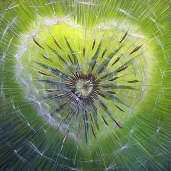 nature dandelion PFP