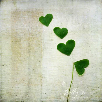 nature clover PFP