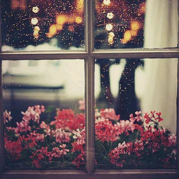 man made window PFP