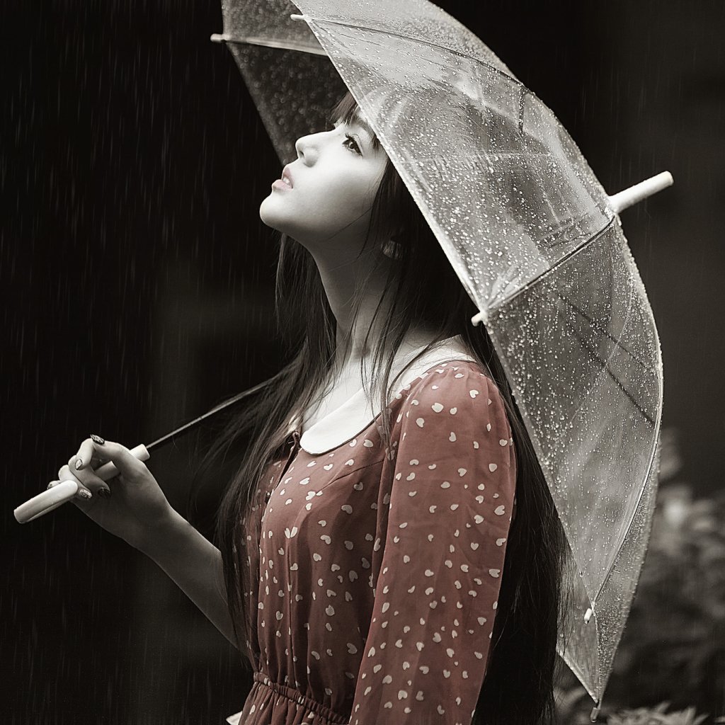 Download Brunette Umbrella Dress Rain Mood Asian Model Woman  PFP