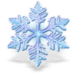 artistic snowflake PFP