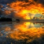 Download Nature Reflection PFP