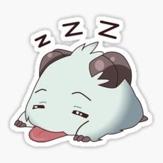 Download Animal Artistic PFP