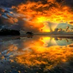 nature reflection PFP