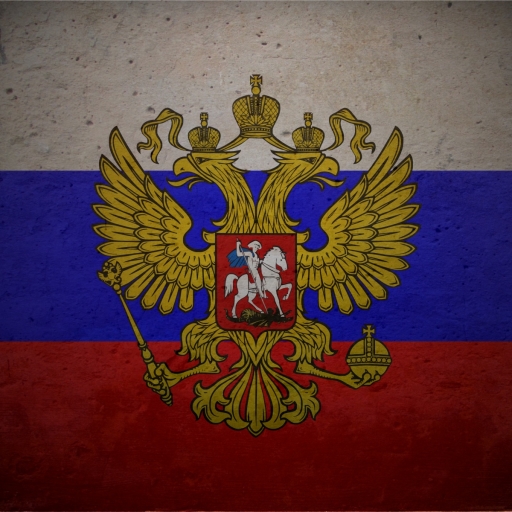 Flag Of Russia Pfp