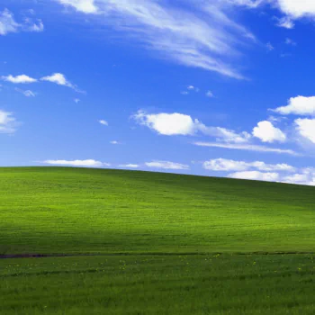 Windows XP PFP