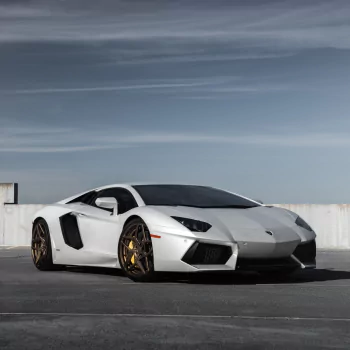 supercar white car vehicle car Lamborghini Lamborghini Aventador PFP