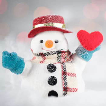 Christmas photography snowman PFP