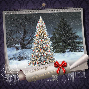 Christmas christmas tree Merry Christmas holiday PFP