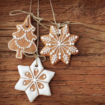gingerbread cookie Christmas holiday PFP