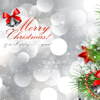 Merry Christmas Christmas christmas ornaments holiday PFP