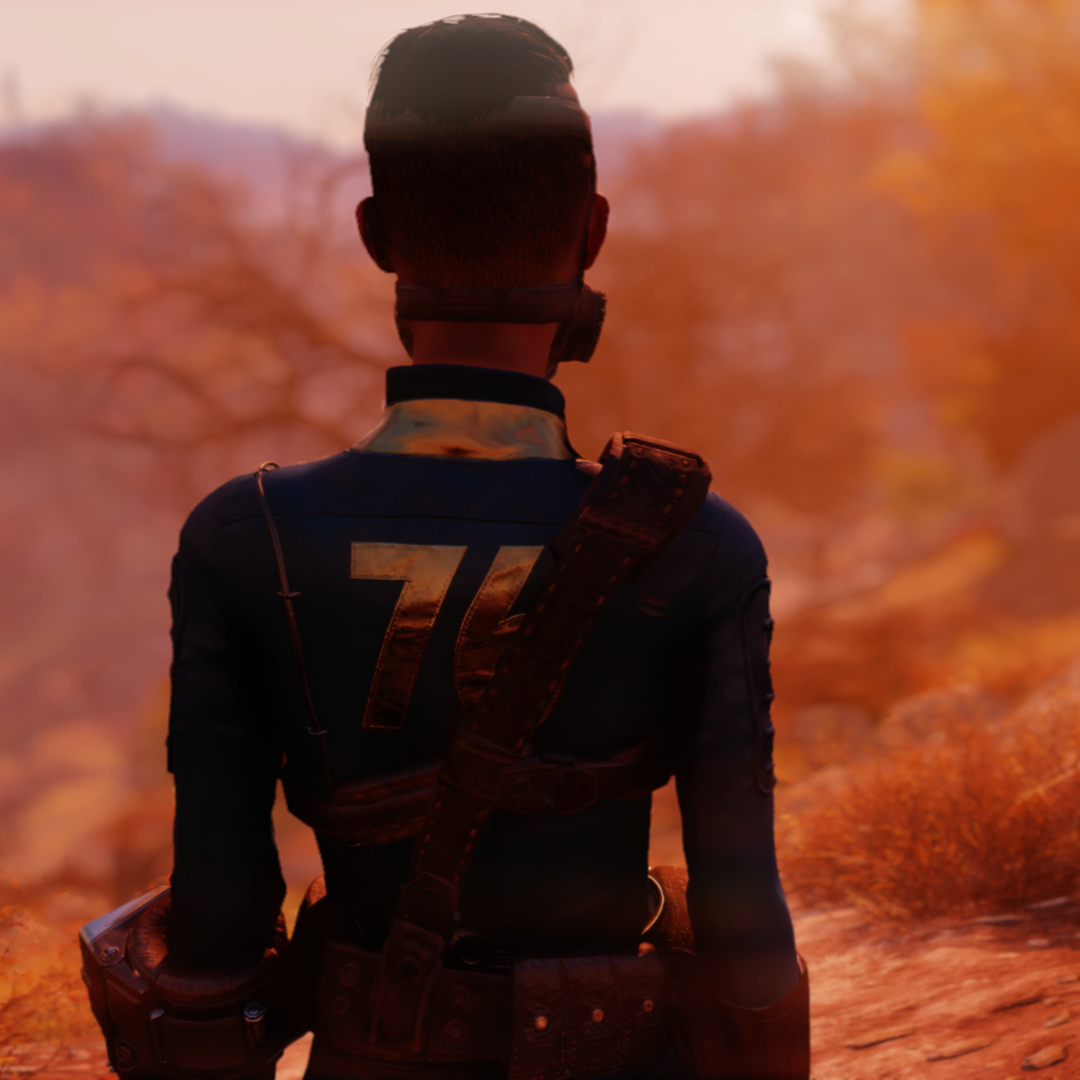 Fallout 76 Forum Avatar | Profile Photo - ID: 167520 - Avatar Abyss