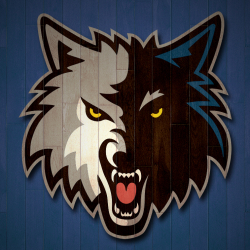 Minnesota Timberwolves Pfp by Michael Tipton