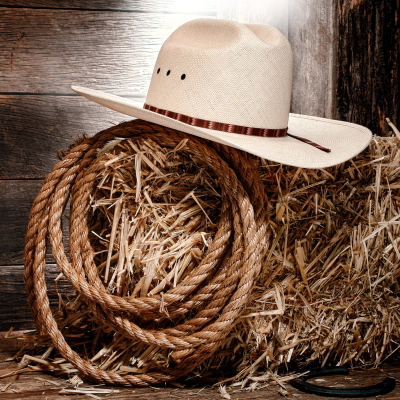 Rope and Cowboy Hat on a Bale of Hay