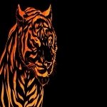 Download Abstract Orange (Color) PFP