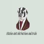 Download Funny Quote PFP