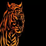 Abstract orange (Color) PFP