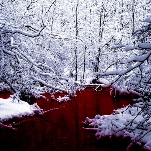 Blood river