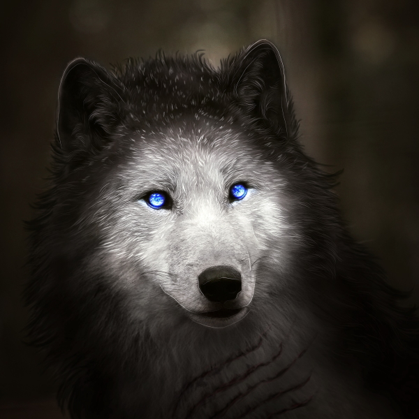 Fantasy Wolf Pfp by Amphispiza