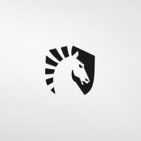 2 Team Liquid pfp