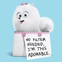 Preview The Secret Life of Pets