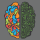 brain