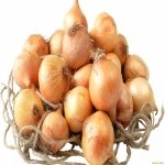 Download Food Onion PFP