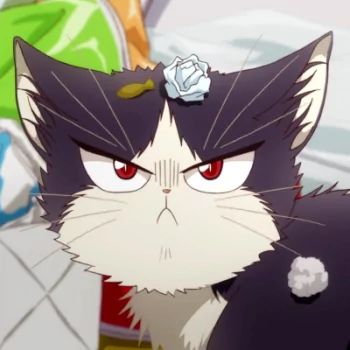 Anime My Roommate is a Cat PFP