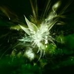 Download Abstract Green Abstract Green PFP