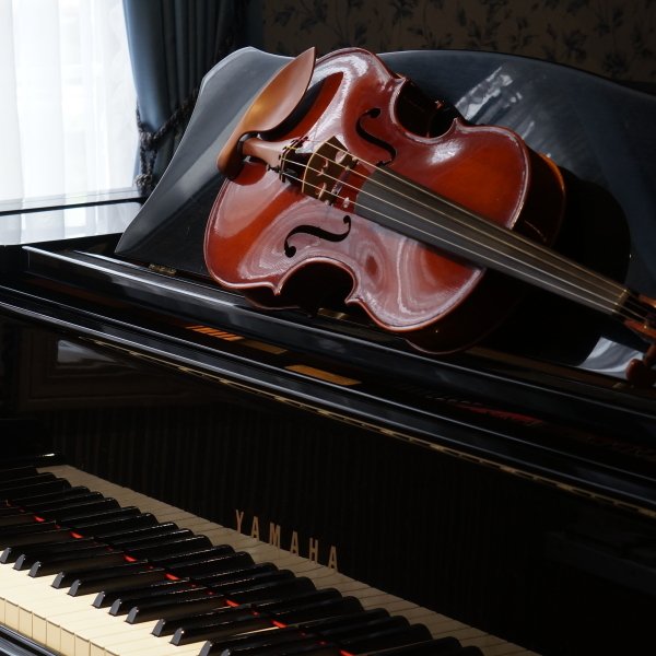 Download Violin Music Piano PFP