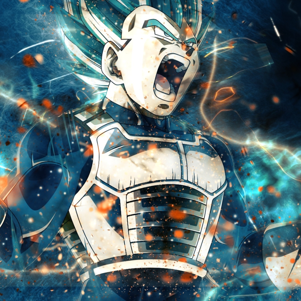 Download Vegeta (Dragon Ball) Dragon Ball Super Anime PFP