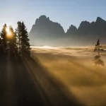 nature sunbeam PFP