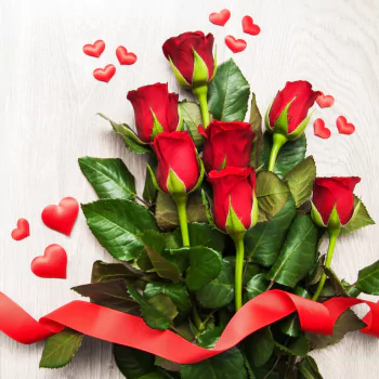 red rose red flower rose bouquet flower man made PFP