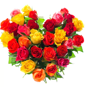  Heart made of Roses