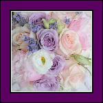 nature rose PFP