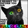 Funny forum avatar/pfp: black cat with vivid green eyes and bold caption I regret to inform you sir that you are full of crazy plus a rainbow FULL OF CRAZY banner.