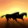  Galloping horses