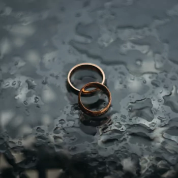 wedding ring holiday PFP